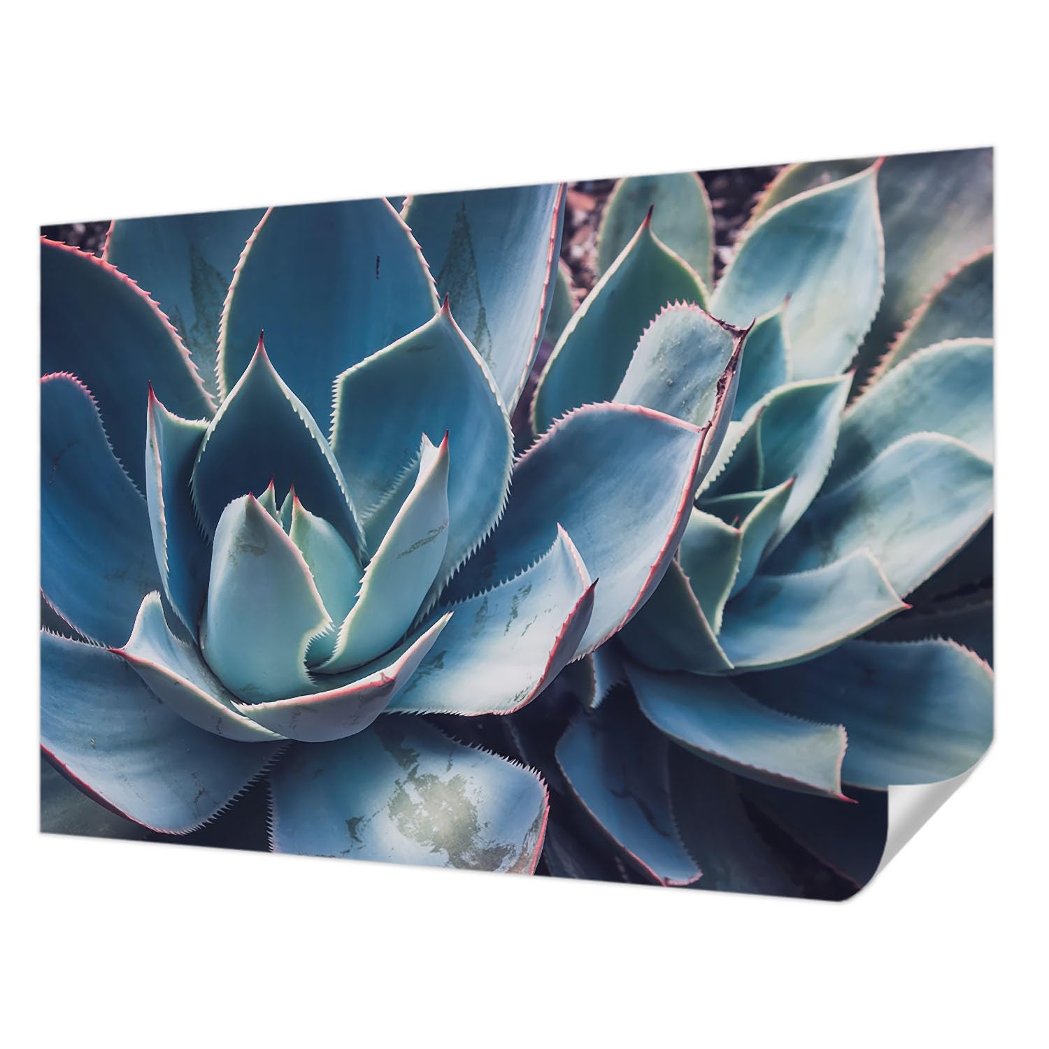Fotomural moderno autoadhesivo Tulup de alta definición y resistencia 152x104 cm