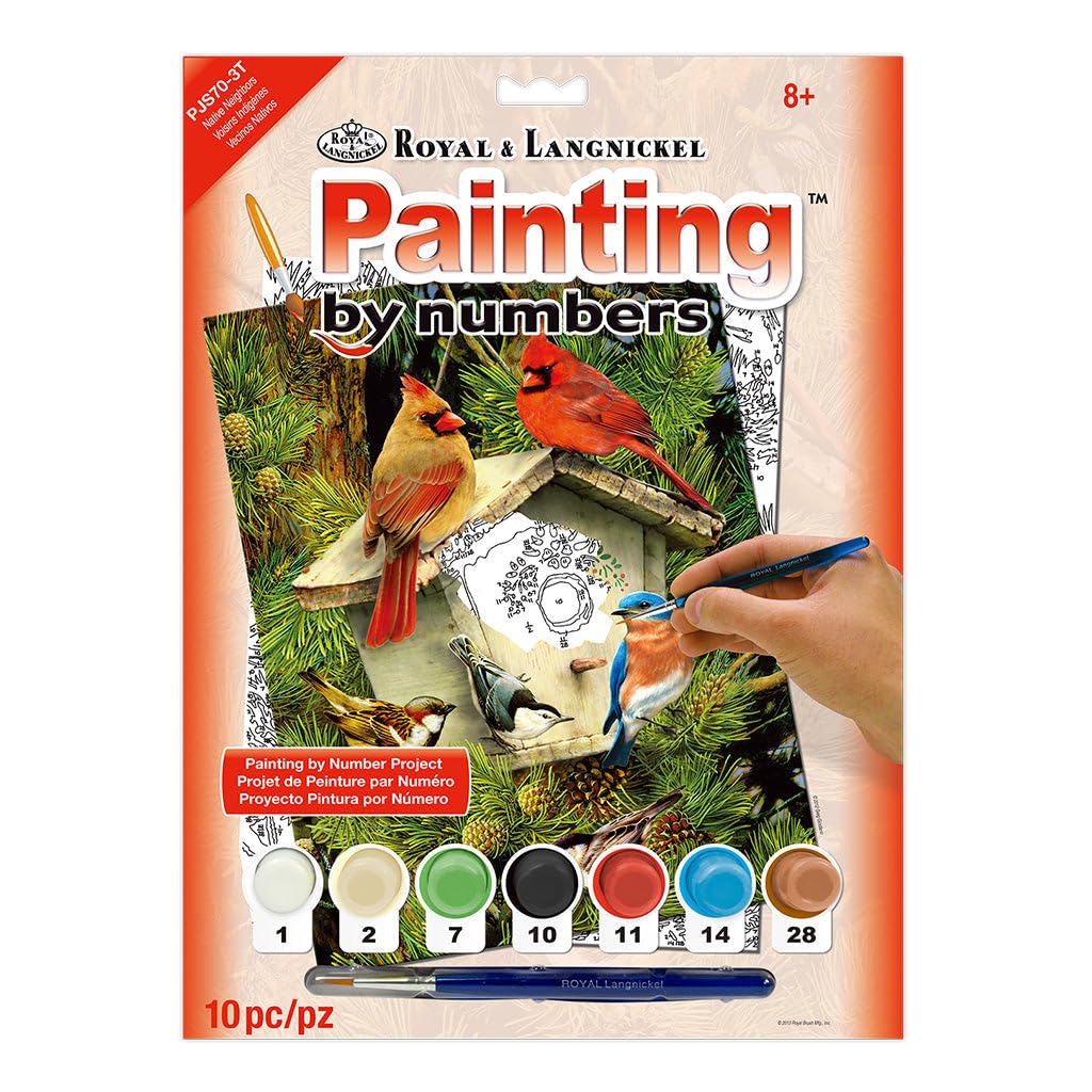 Royal Brush Junior Small Paint by Number Kit 8-3/4"X11-3/4-Native Neighbors