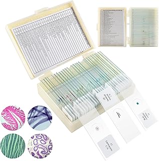 30 Objektträger Mikroskop-Set mit Biologischen Proben, Insekten, Pflanzen, Menschliche Zelle für Labor Biologie, Metall, LED, Ohne Farbe