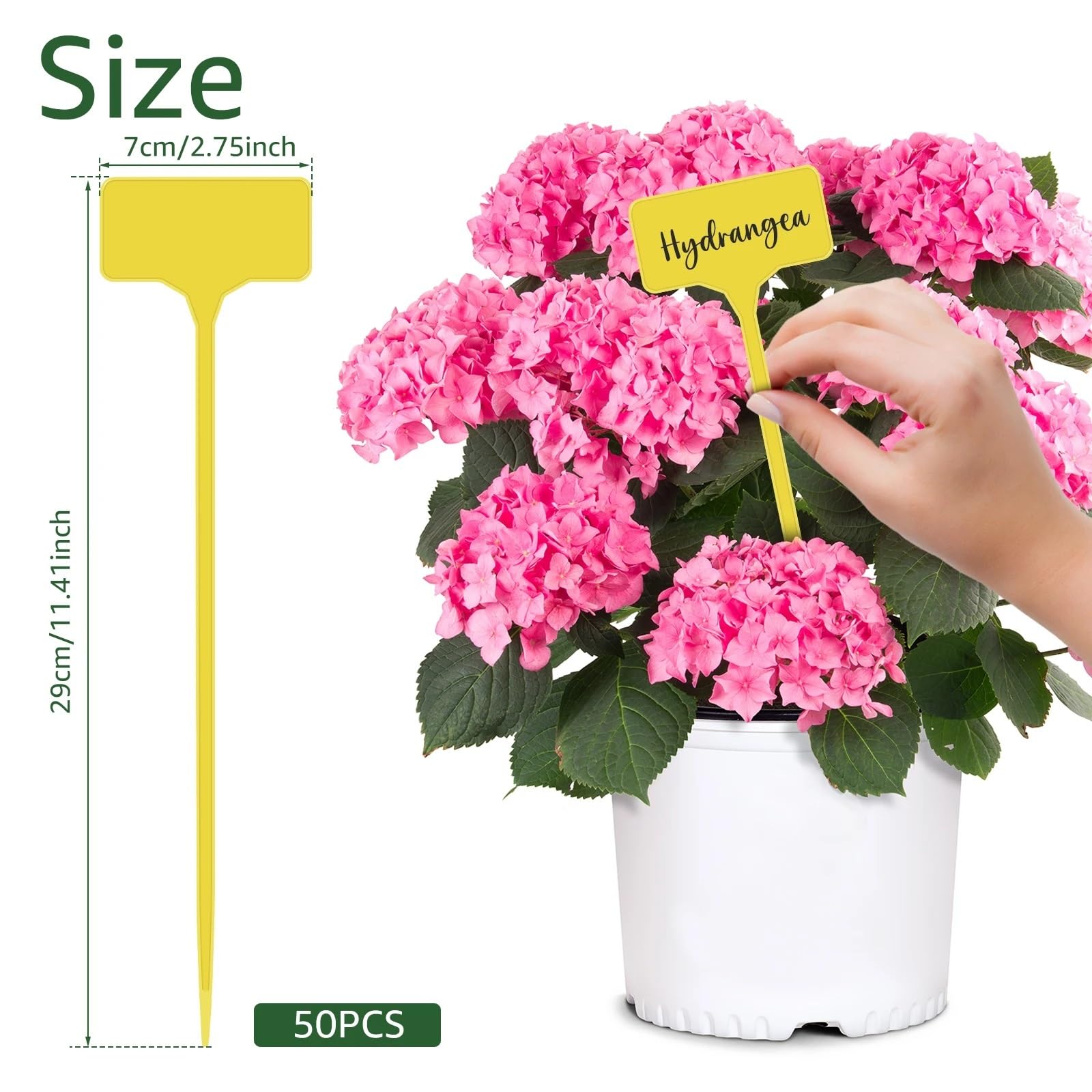 50 szt. Etykiety na rośliny do ogrodu warzywnego, doniczki tagi na rośliny etykiety do ogrodu przedszkolnego, płyta rekordowa plastikowe kołki nazwa znak(100pcs)