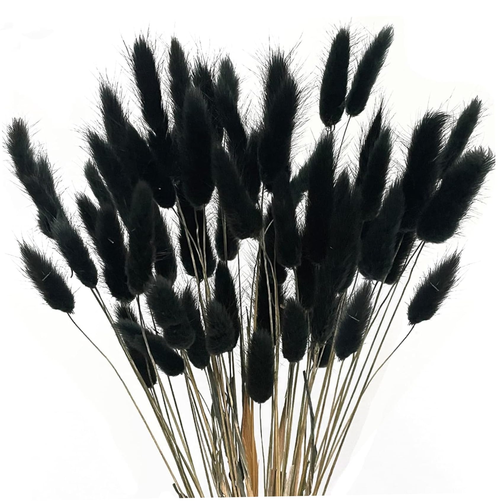 CAKEEYUM Pampas Grass Decor 60PCS 17 Inch Simulation Faux Pampas Grass – Funny DIY Photography Props Boho Flowers for Home Wedding Decor Crafts, Black