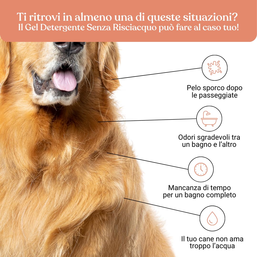 Bau Cosmesi Gel Detergente Senza Risciacquo, Shampoo Secco per Cani, Igienizzante e Idratante - Senza Parabeni e Siliconi, Naturale e Bio con Aloe Vera - Pesca, 250 ml