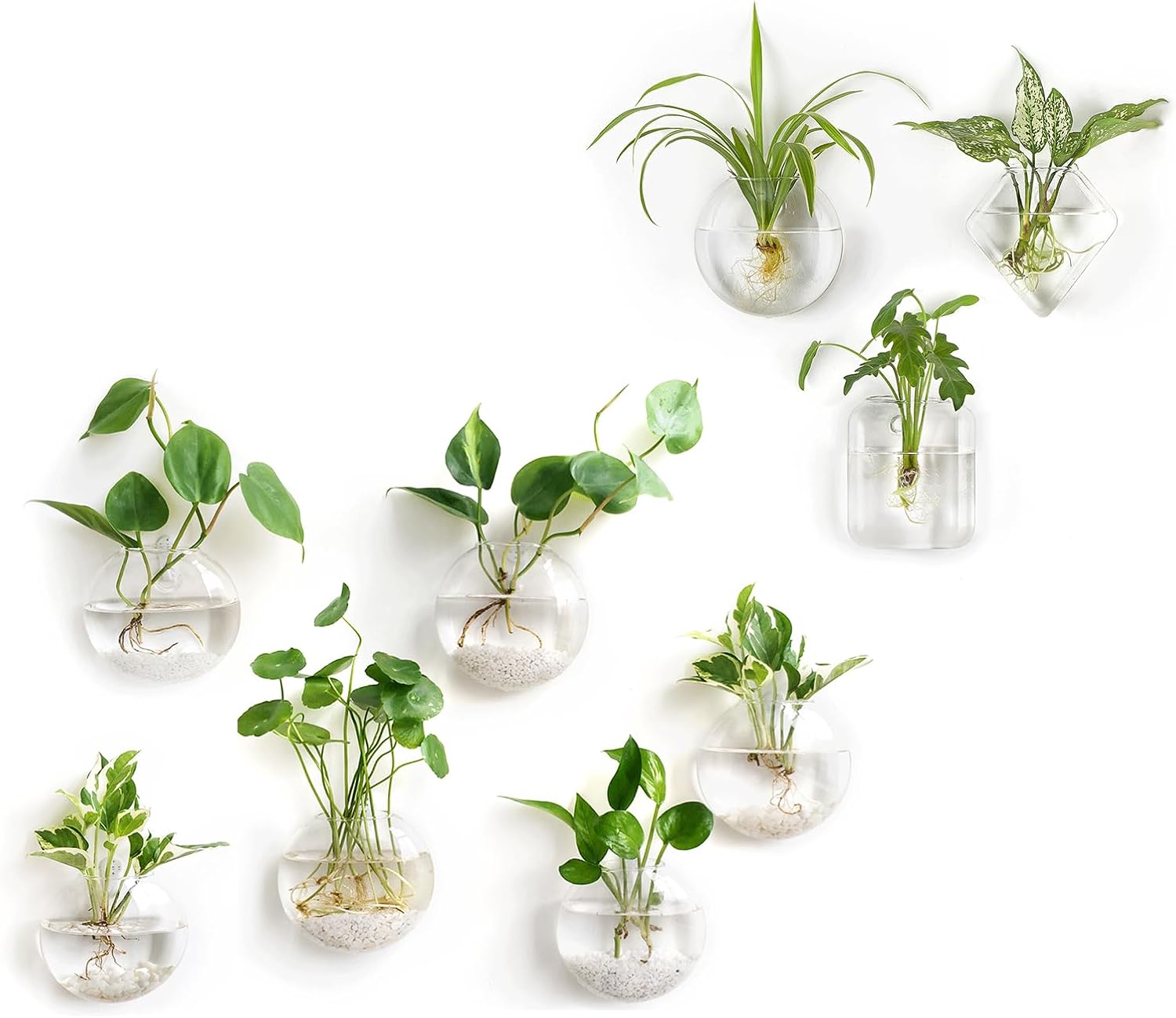 Mkono Wall Hanging Planter Propagation Stations Glass Vase for Hydroponic Plants Home Office Living Room Bathroom Garden Decor