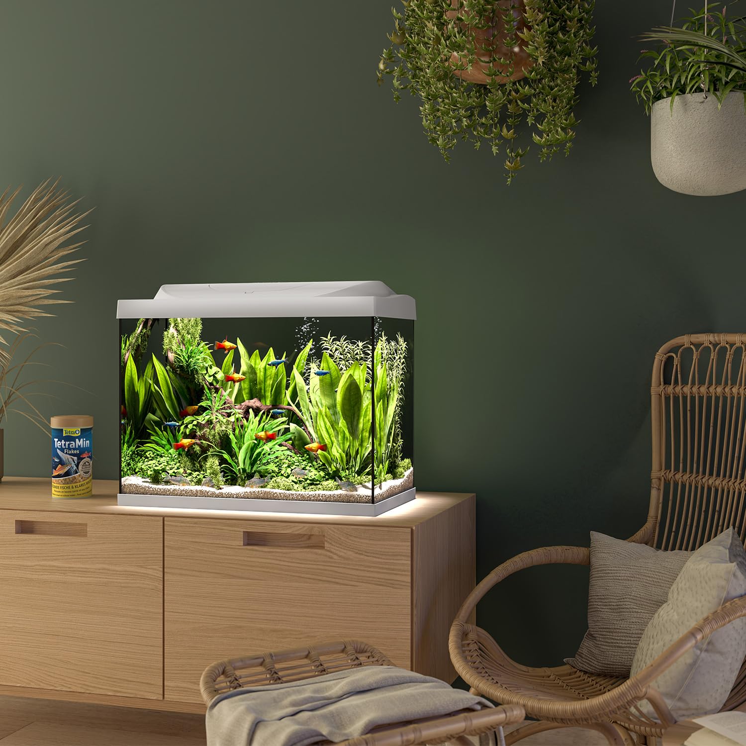 Tetra Starter Line LED 80L Acuario de Inicio Blanco, Bombilla LED con Modo luz Diurna/Nocturna