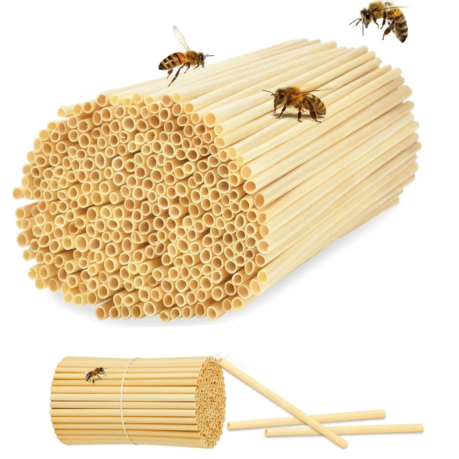 BOBOZHONG Bee Tubes 20cm Long Natural Reed Tubes for Bee Hotels 300 PCS Solitary