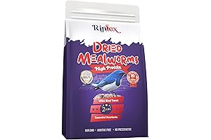 Essential Grub: High-Protein Dried Mealworms for Your Outdoor Feathered Friends