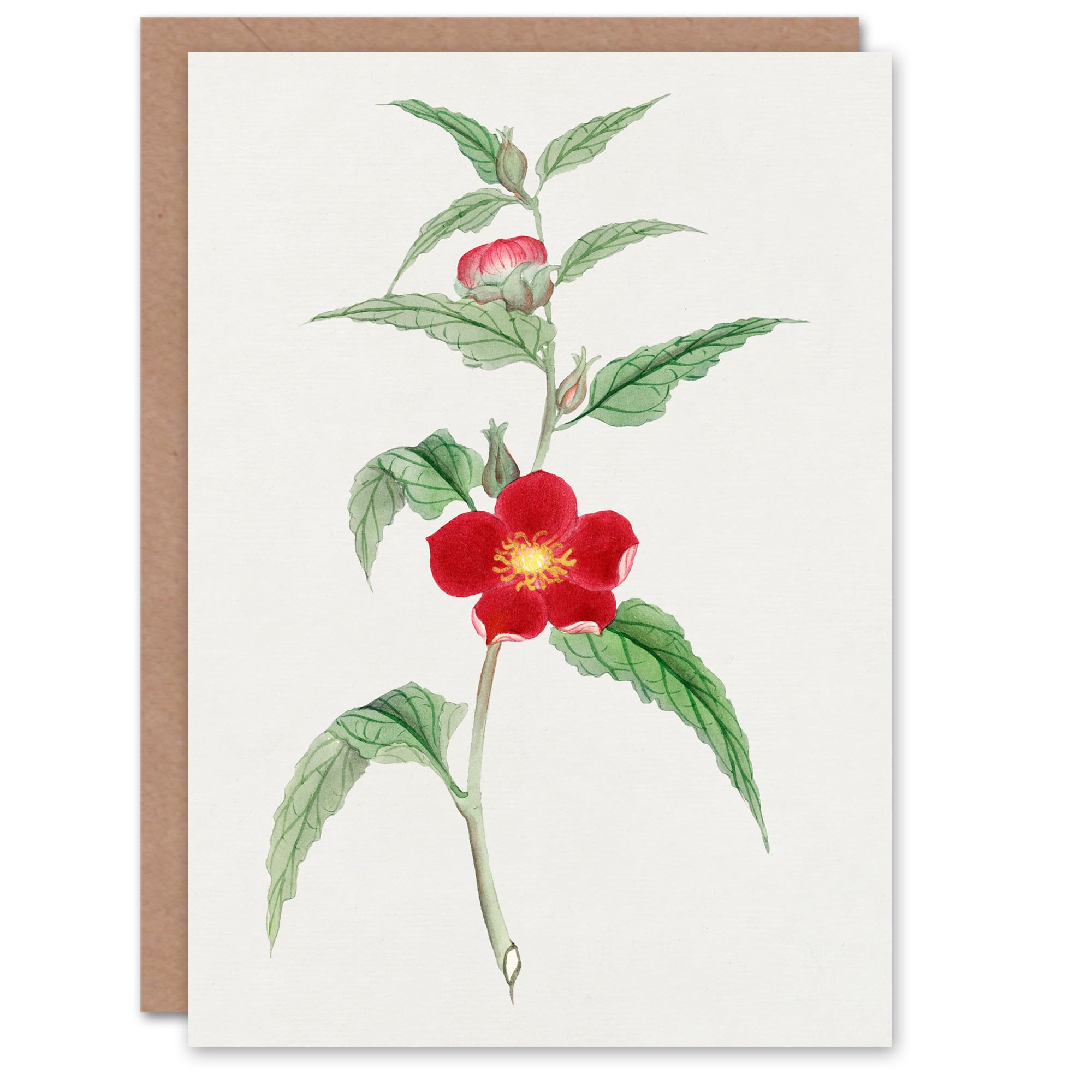 Artery8 Vintage Japanese Botanical Art Card Pomegranate Flower