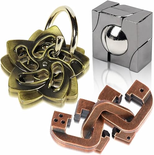 GVKES Divertidos juegos de rompecabezas de metal para el cerebro  3 juguetes 3D para adultos  Desafío de inteligencia intelectual para adolescentes