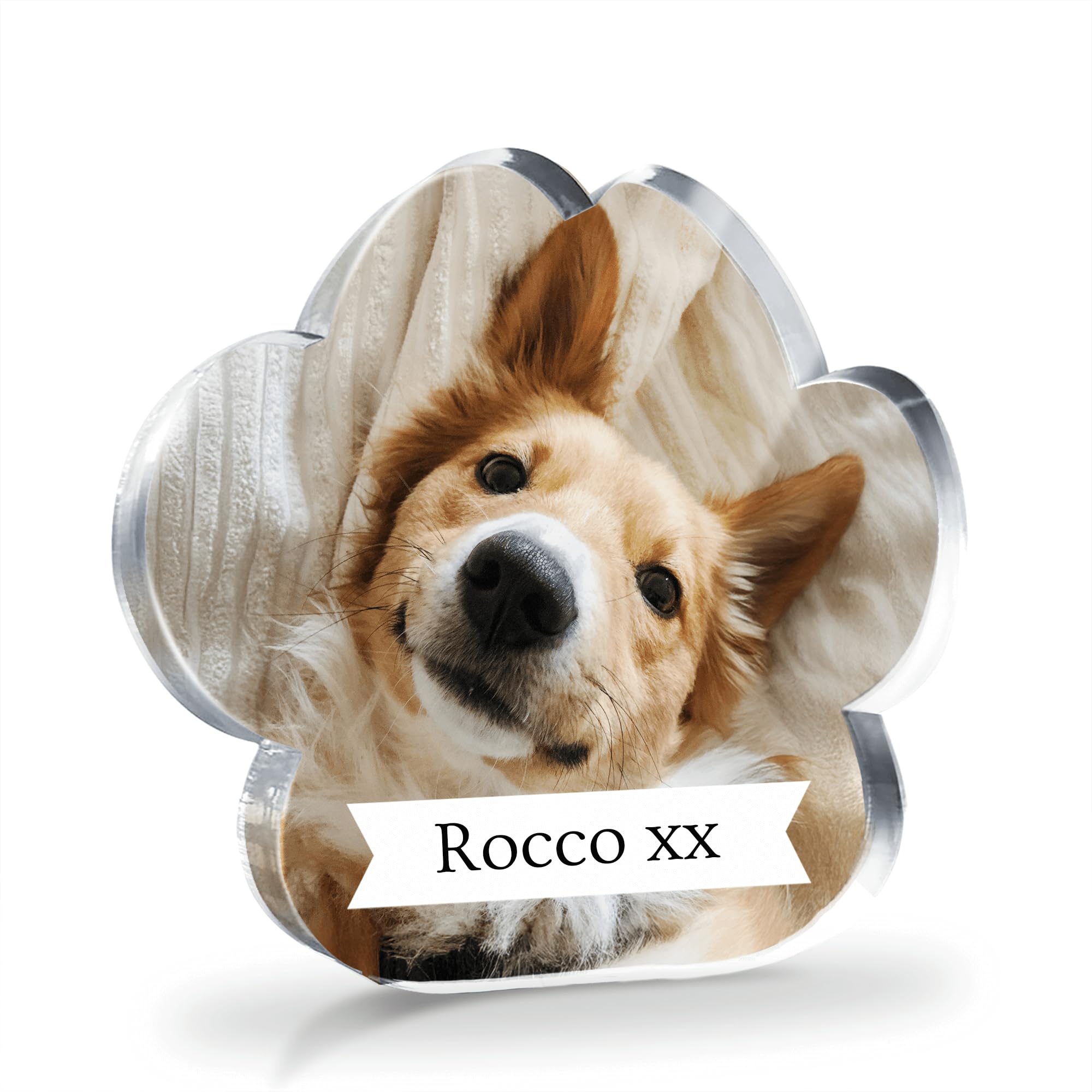 1 Personalised Customised Photo Text Upload Acrylic Freestanding Photo Frame Pawprint Pet Dog Cat Block or Coaster as Gift Present Christmas Memorial Birthday 100mm X 100mm Primary Teaching Services
