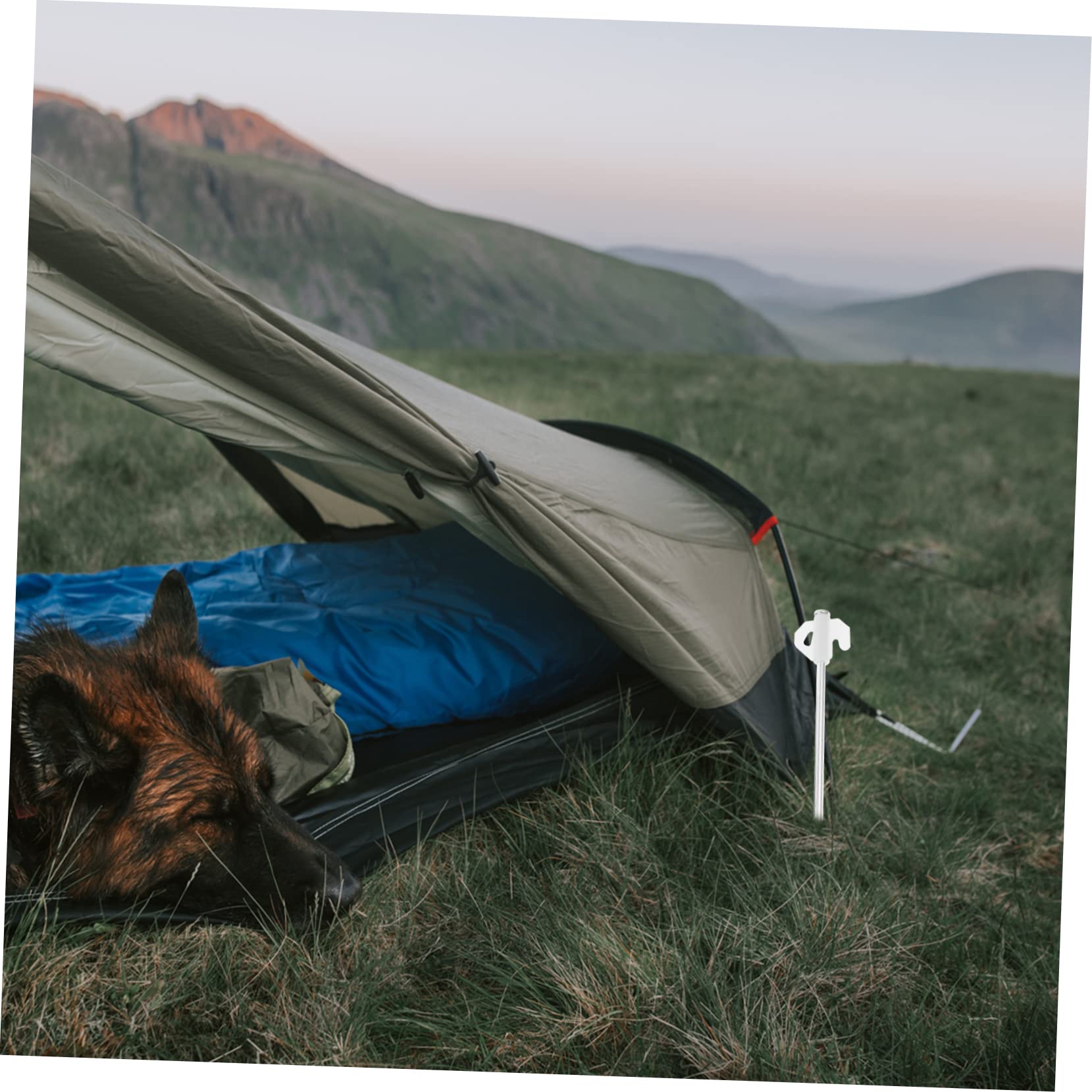 Toddmomy Kit D’Accessoires de Camping pour Tente, Piquets de Sol en Plastique, Corde en Nylon, Design Lisse, Coupe-Vent, Paquet de Rangement