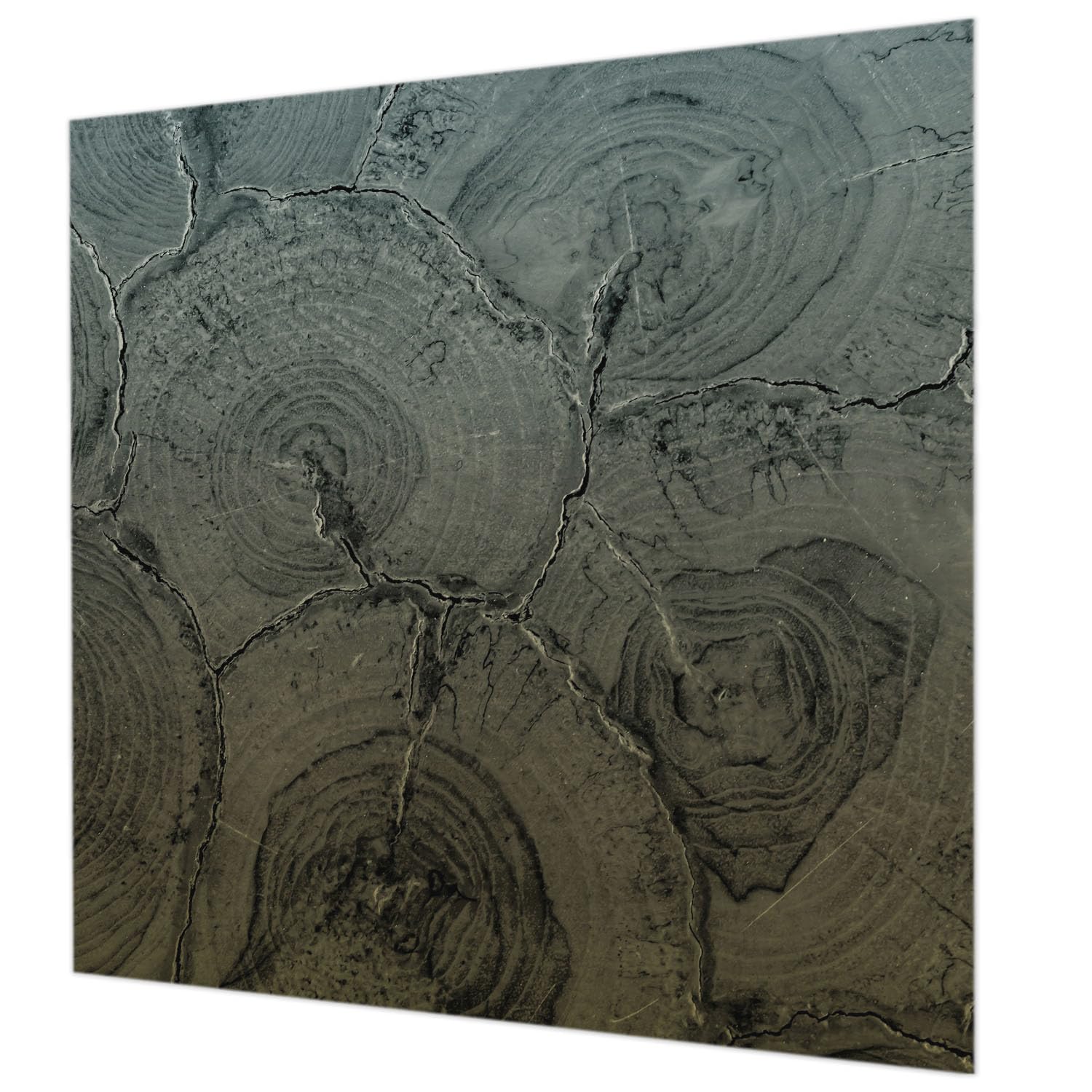 Papier peint intissé 250x250 cm pour relooker un mur de chambre