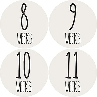 Weekly Pregnancy Growth Stickers | Week to Week Pregnant Expecting Photo Prop | Maternity Keepsake | Baby Bump | Weekly Stickers Photo (Set of 36 Stickers)