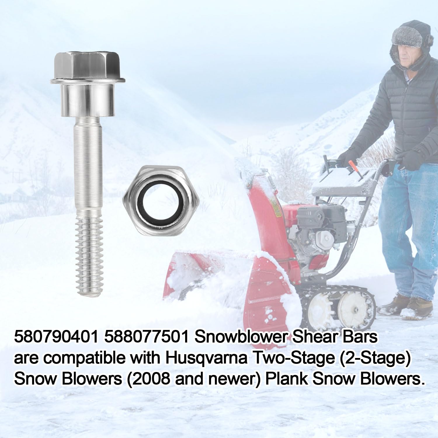 lasuroa 6pcs Snow Blower Shear Pin Assortment - Image 3
