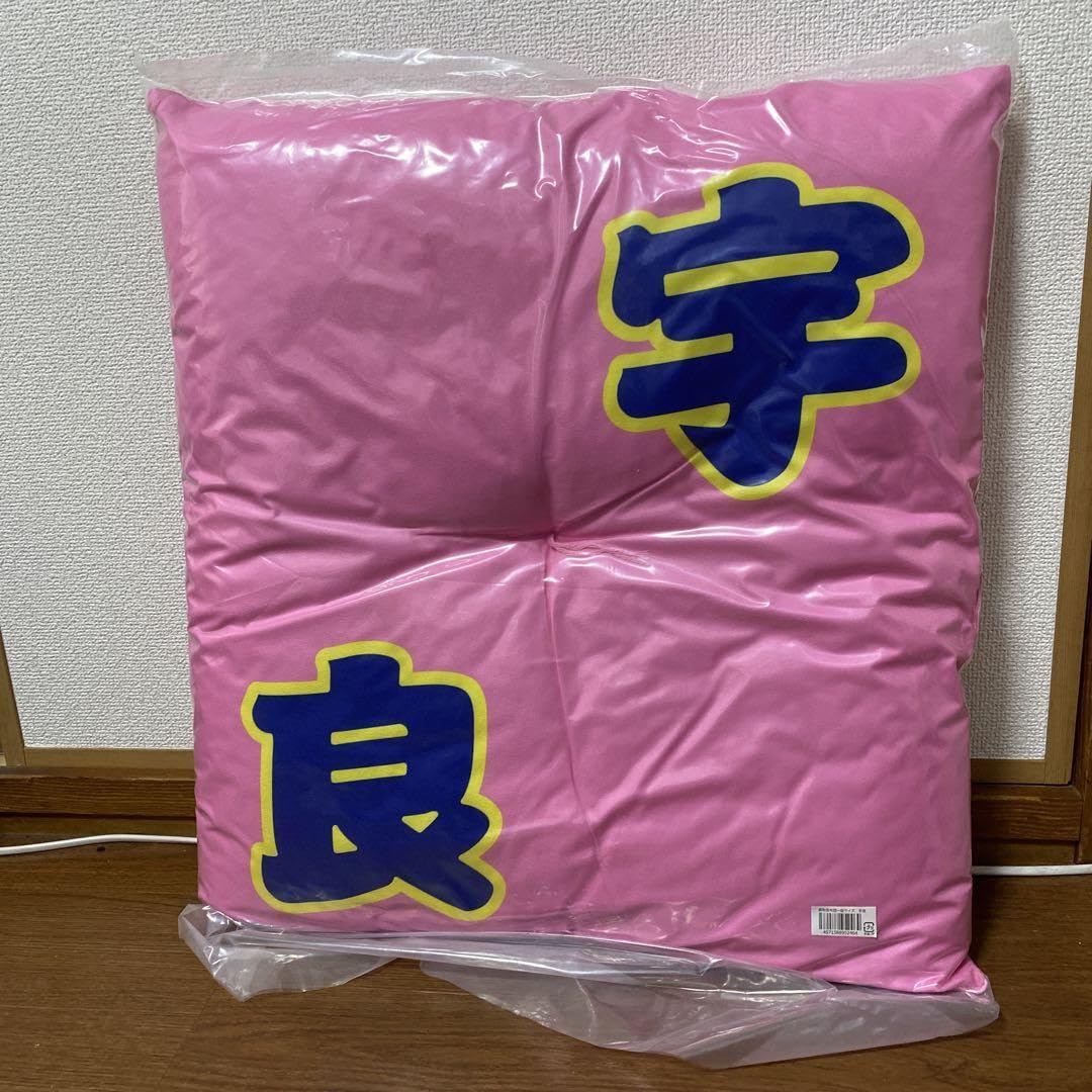 大相撲 小結・宇良 関取座布団 大相撲 小結・宇良 関取座布団 関取控え