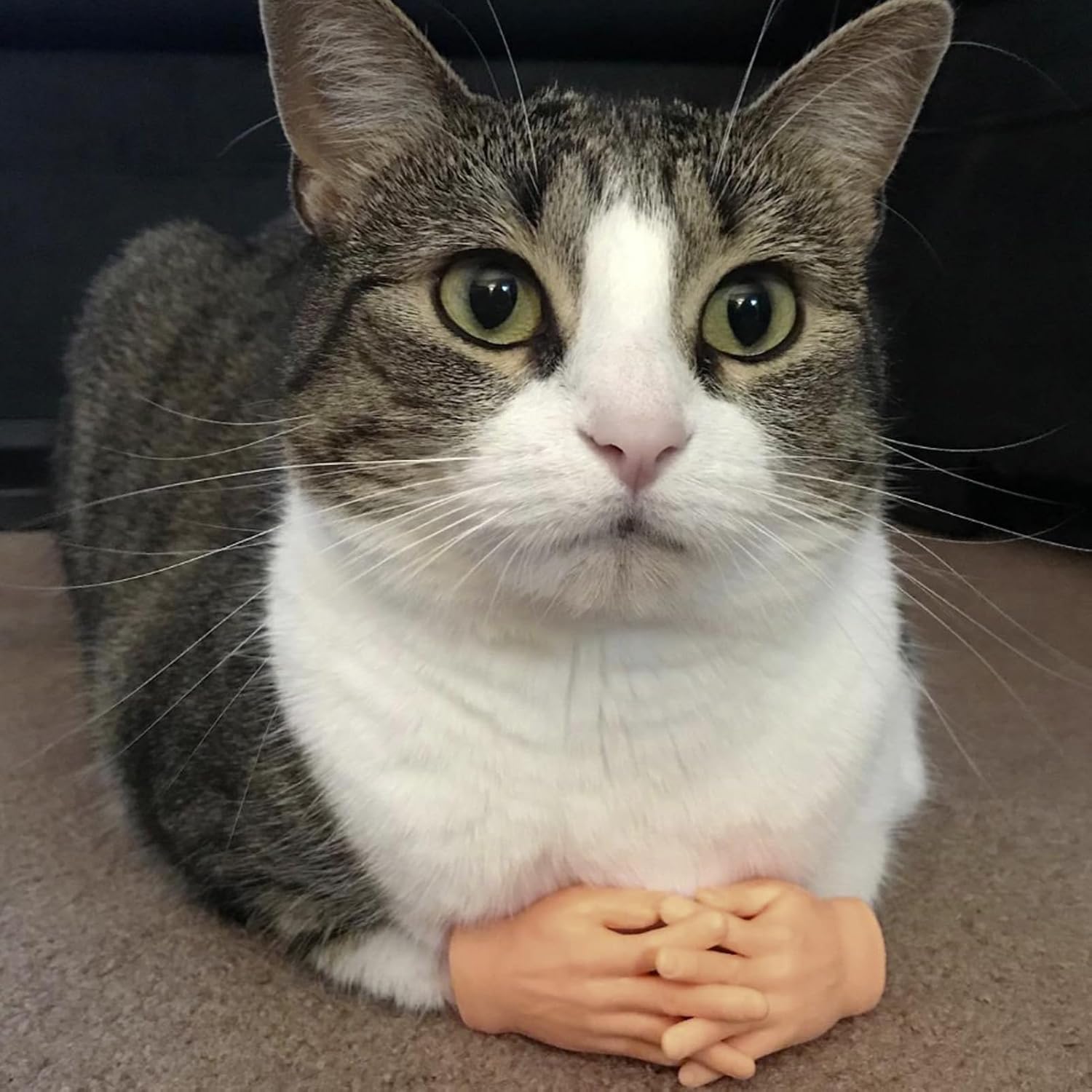 3Pcs Cat Paw Finger Puppet, Cat Tiny Human Hands Folded, Stretchable Mini Hands for Cats, Rock Paper Scissor Shape Tiny Hands for Cats, Interactive Cat Toy Little Hands for Cats (3pcs) image 4