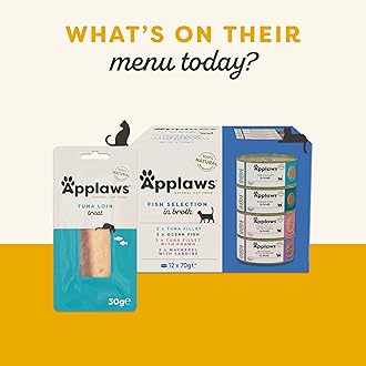 Applaws Complete and Grain Free Dry Adult Cat Food, Chicken with Salmon, 2kg (Pack of 1)