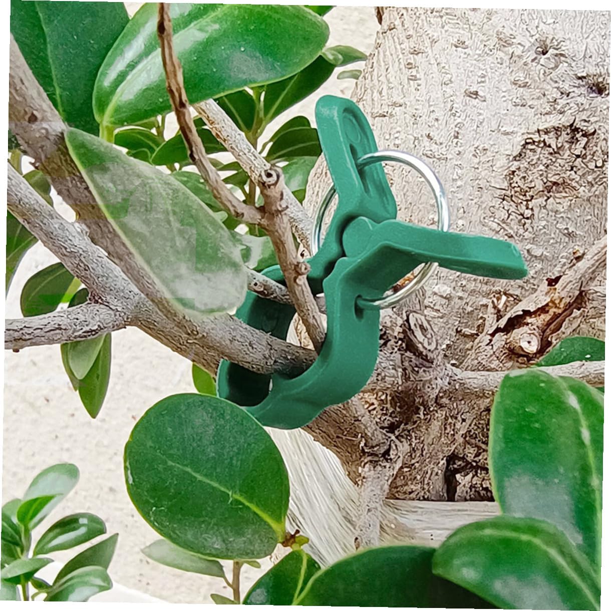 NUOBESTY 60 Stück Pflanzenclips Kunststoff Großer Gartenstützclip Für Kletterpflanzen Tomaten Blumen Gemüse Rankhilfe Wiederverwendbar