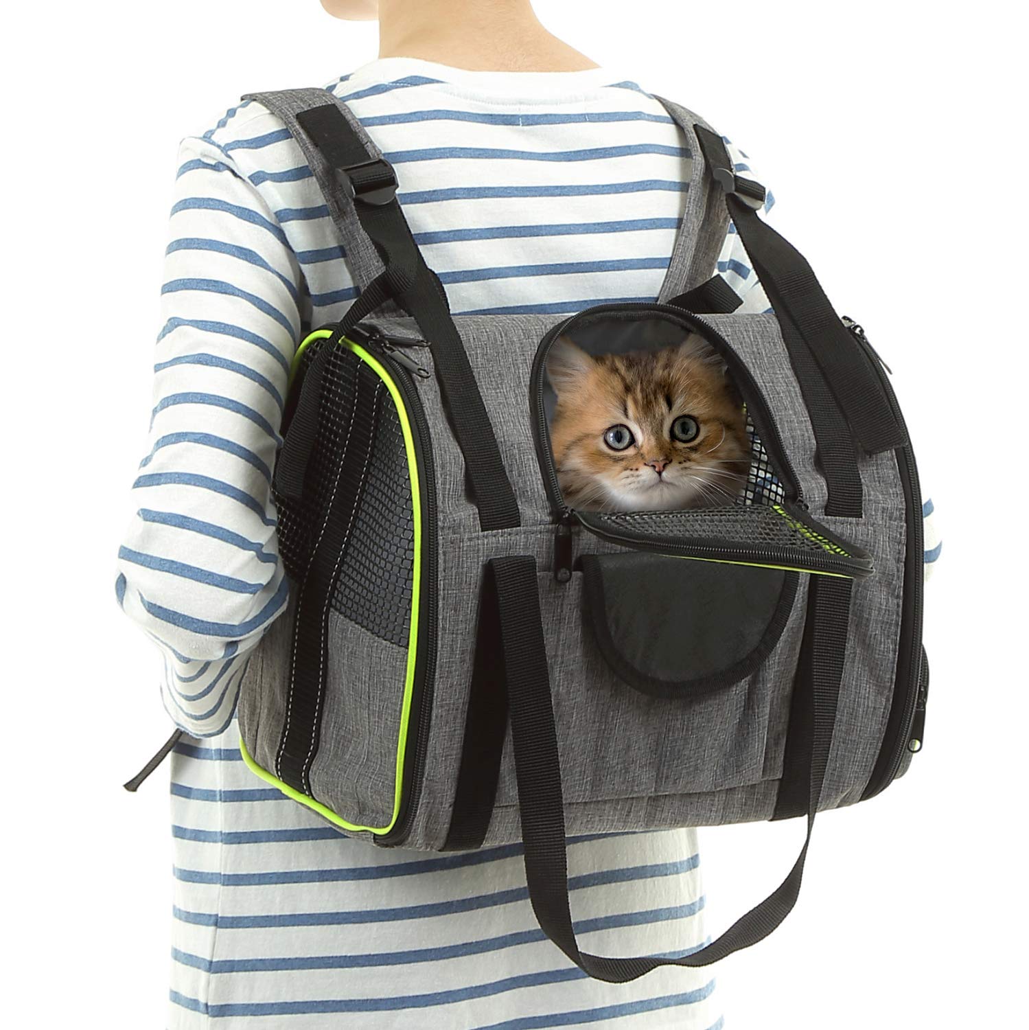 bunny carrying backpack