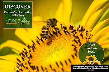 Amazon.com : NatureZ Edge 1300+ Sunflower Seeds Garden