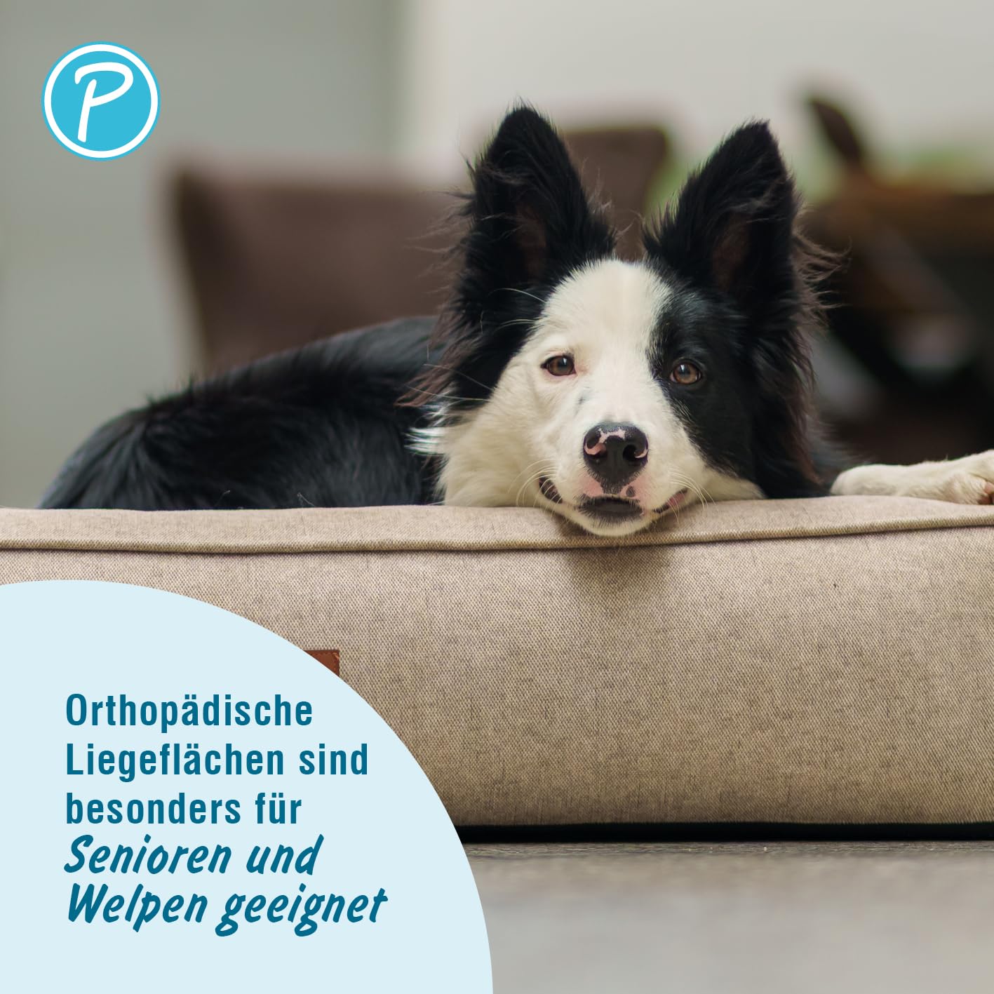 Petlando orthopädisches Hundebett Lima Ortho, ergonomische Liegefläche, waschbar 60°C, rutschfest, XL Tabacco, Hundematte beige, Hundekissen für große Hunde L 120 x B 85 x H 17 cm