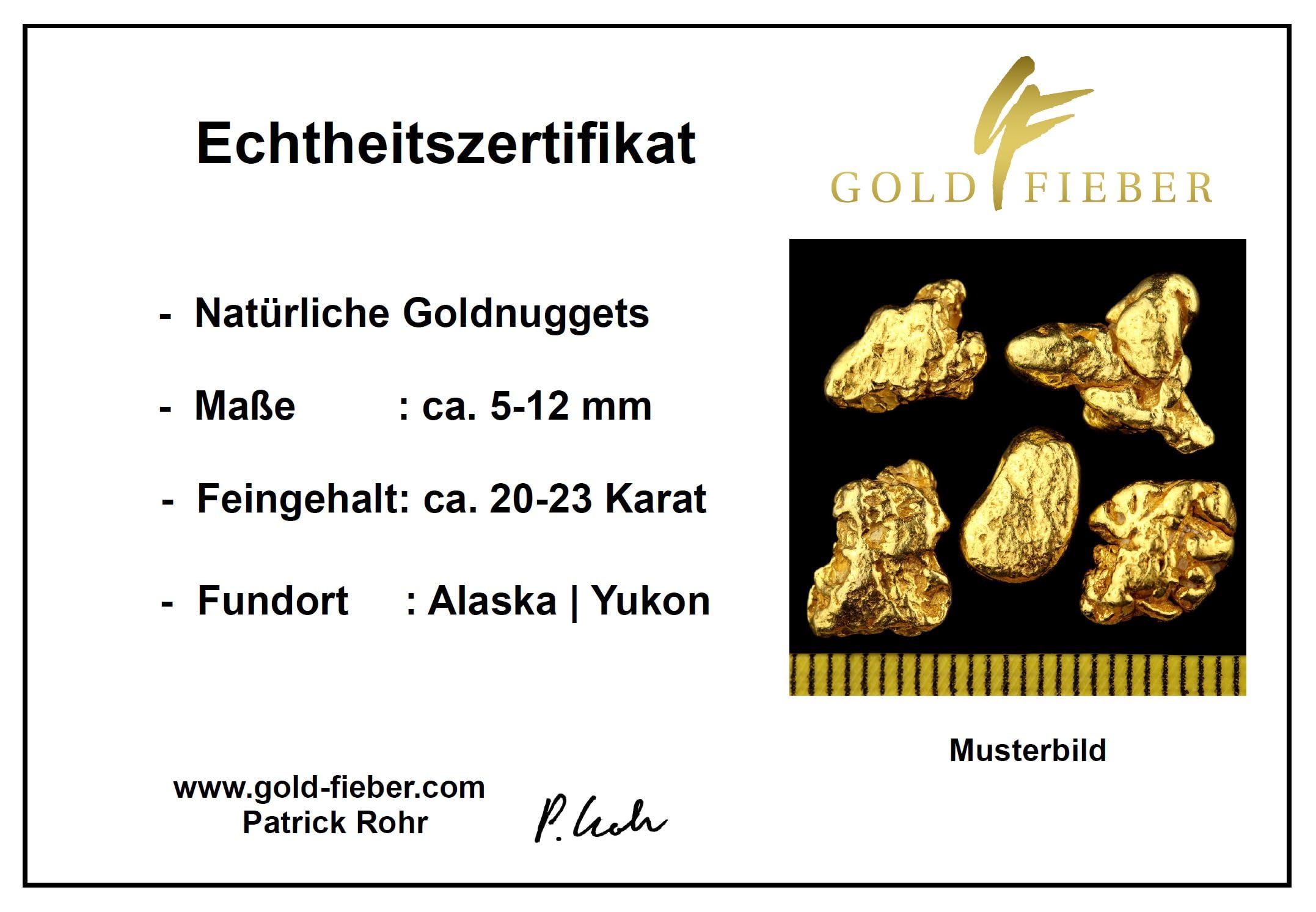 1 Gramm Echte XXL Goldnuggets aus Alaska mit Echtheitszertifikat in edler Münzdose