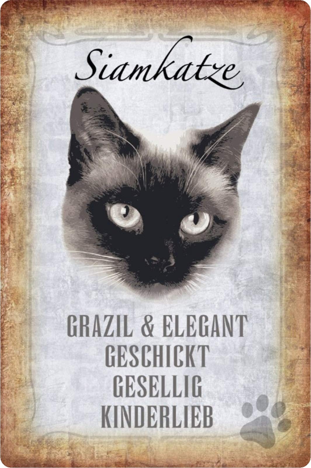 Targa in latta vintage con scritta Cat Don't Tell Me What to Do Bar, decorazione murale da parete, 20 x 30 cm