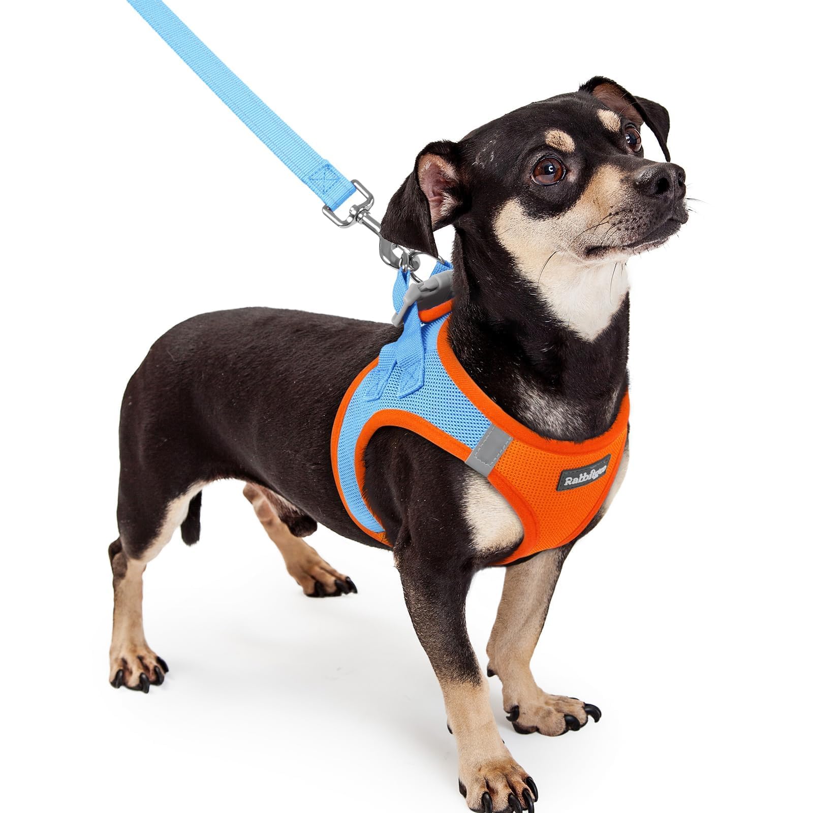 rabbitgoo Dog Harness Small Sized and Leash Set, Step-in Puppy Pet Vest