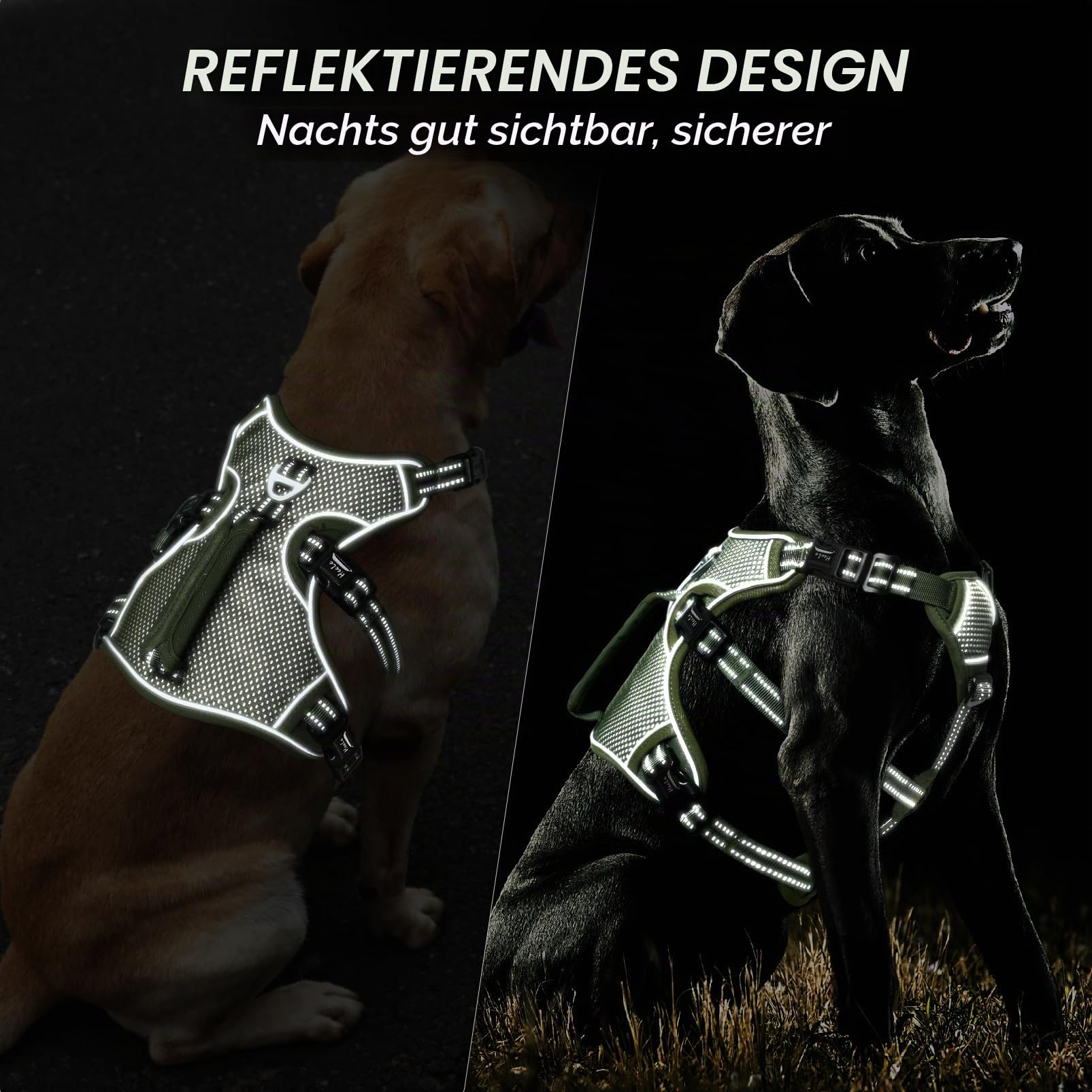 HEELE Hundegeschirr, Ausbruchsicher, Schnalle im Halsbereich, Reflektierend, Brustgeschirr mit Robuster Griff, Panikgeschirr Hund, Hundegeschirr Stabilen Eindruck, Passt wie Angegossen, Grün, M | Brustgeschirr mit Robuster Griff, Panikgeschirr Hund, Refle
