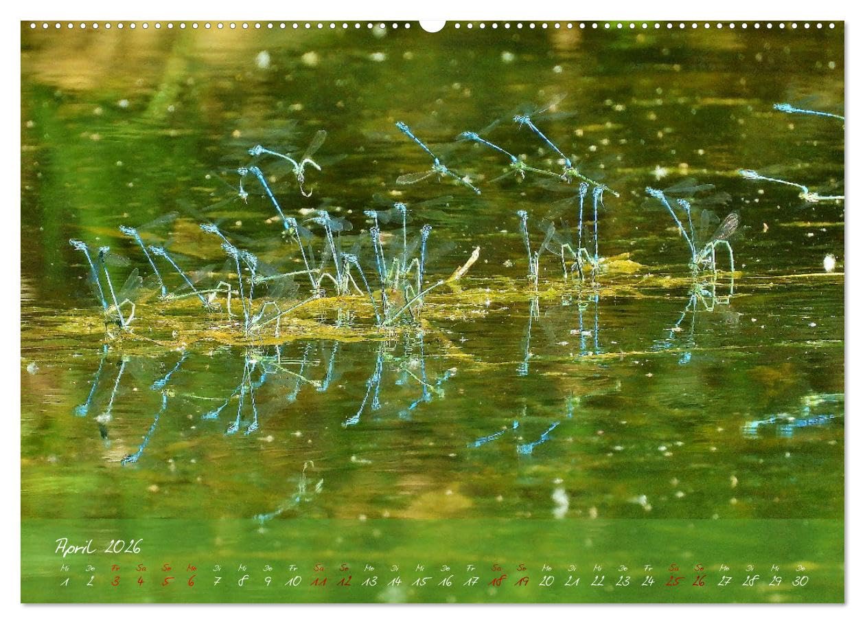 Wilde Toskana - von René Schaack (hochwertiger Premium Wandkalender 2026 DIN A2 quer), Kunstdruck in Hochglanz: Fotoreise ins Herz Italiens (CALVENDO Orte)