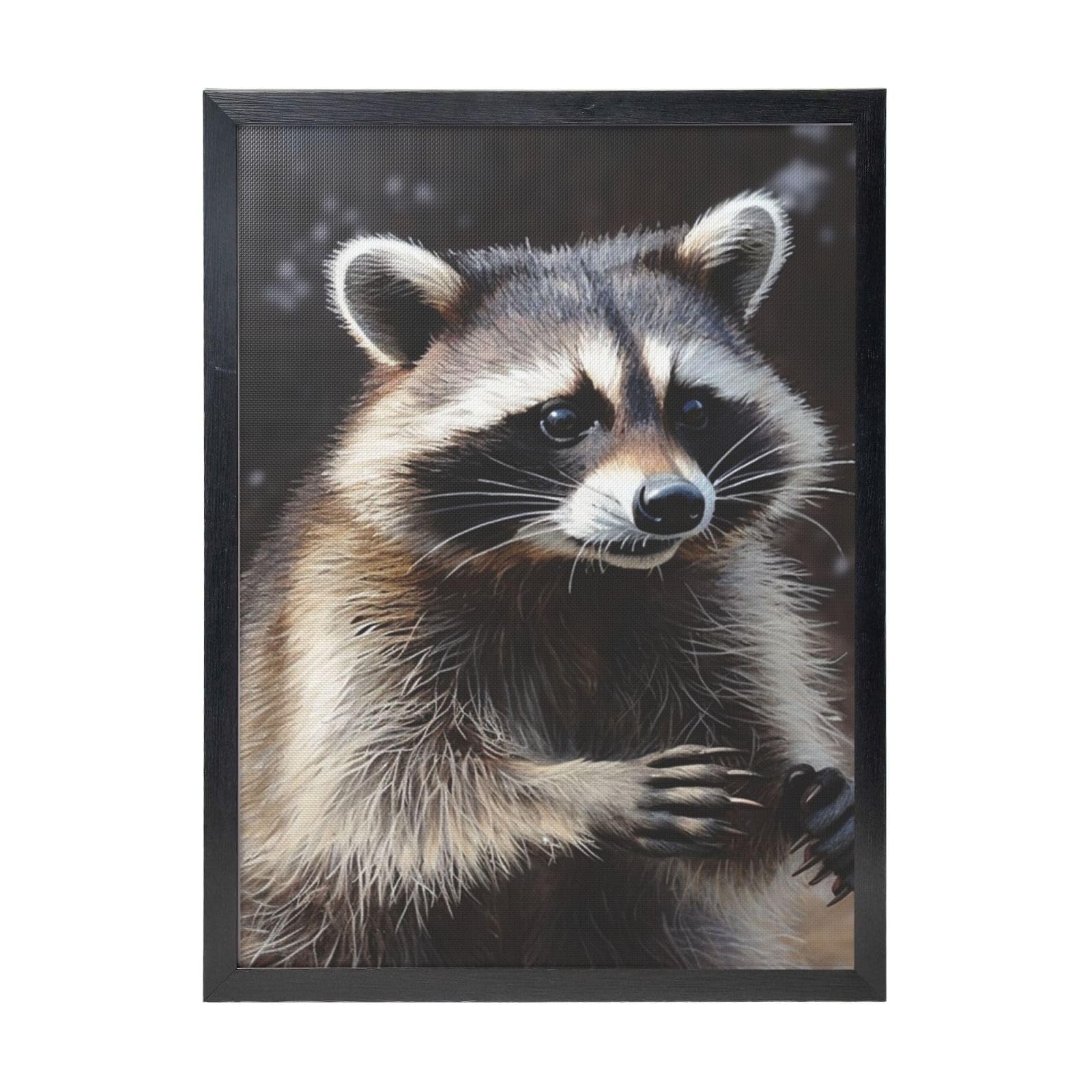 Framed Wall Art - Decorative Canvas Painting Raccoon Pictures Poster Aesthetic Modern Prints Artwork for Bedroom Office Wall Decor Ready To Hang 12x16 in