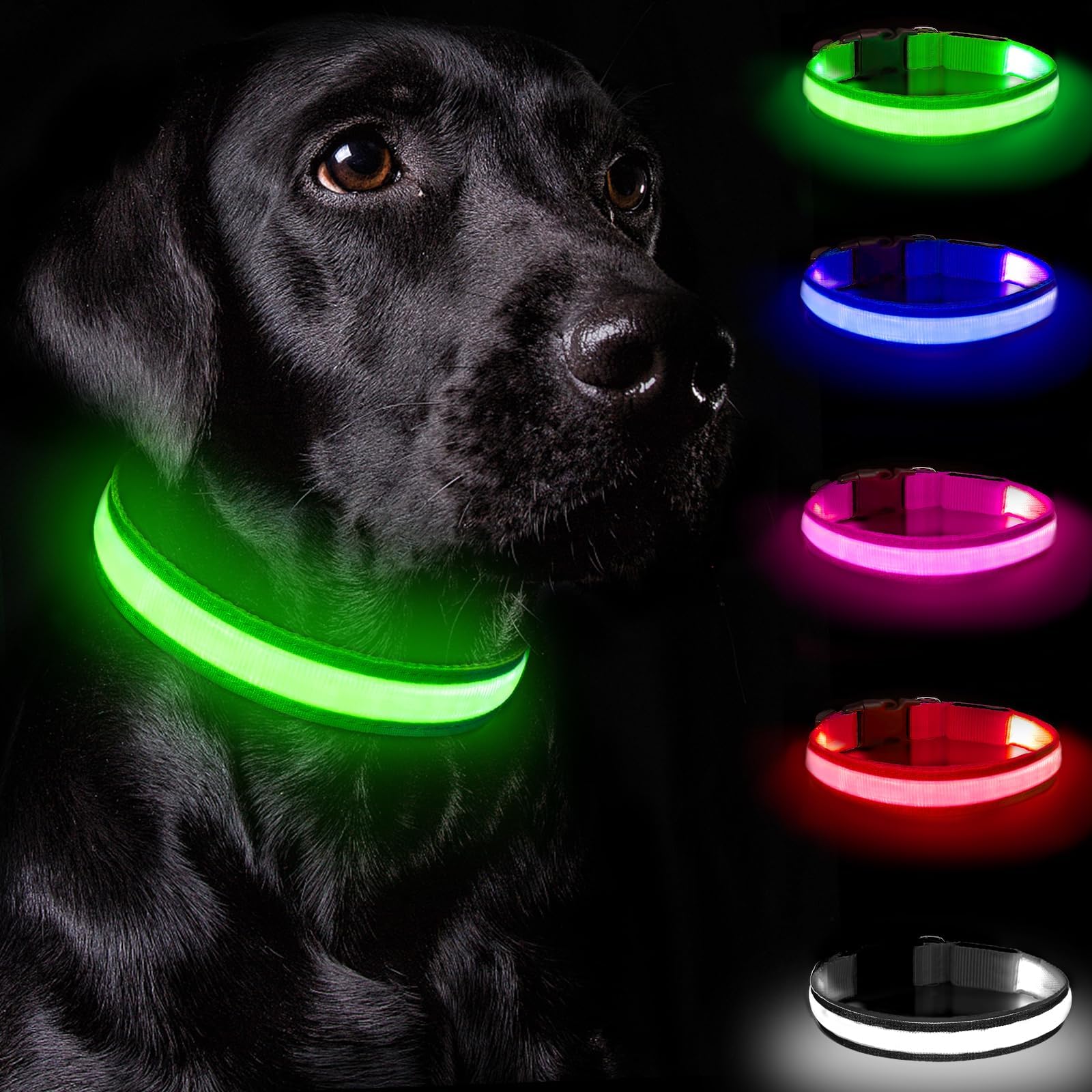 Nepfaivy Collare Luminoso per Cani Ricaricabile - Collare per Cani a Led con Lunghezza Regolabile, 3 Modalità di Illuminazione per la Sicurezza Notturna, Verde