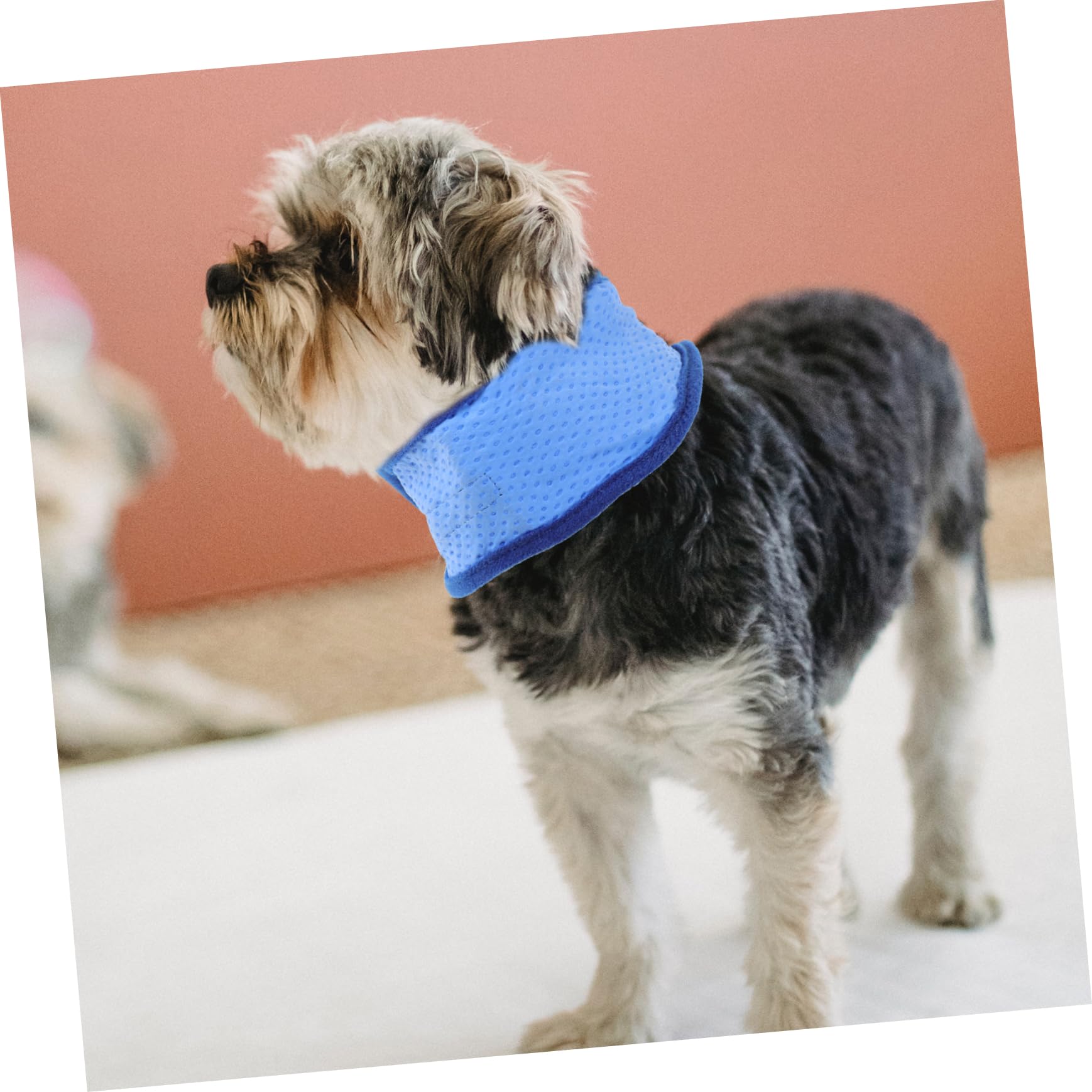 BESPORTBLE 6stücke Hundekühlhalsband Atmungsaktives Kühlbandana Für Hunde Sommer-abkühlung Effektive Kühlung Ohne Wasser Für Kleine Bis Mittelgroße Hunde
