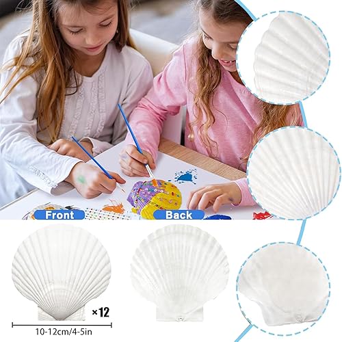 Miniatura 2 de 12 conchas de vieira naturales grandes de 4 a 5 pulgadas, conchas marinas blancas para manualidades, pintura a mano, fiestas temáticas oceánicas y
