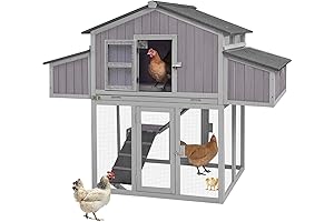 Aivituvin Big Chicken Coop for 6 Chickens