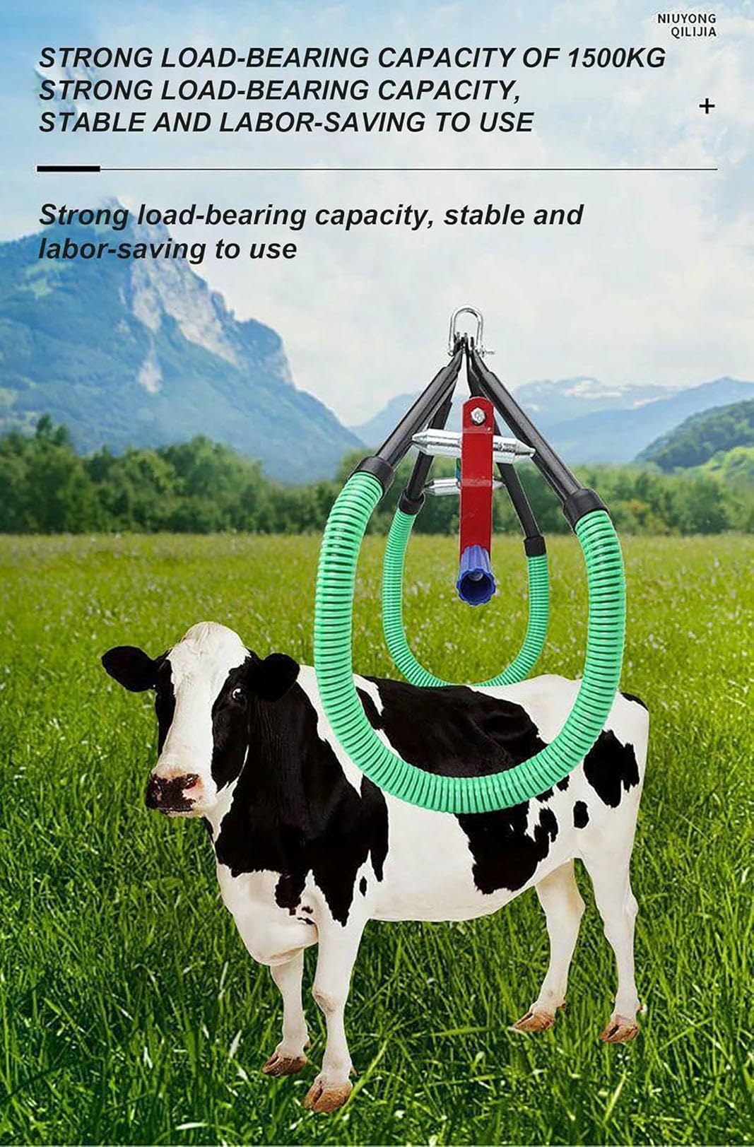 Sollevamento regolabile dell'anca della mucca, morsetto di sollevamento del bestiame in acciaio, strumento di assistenza in piedi per distocia post-parto, supporto per la mucca febbre tifoide grave