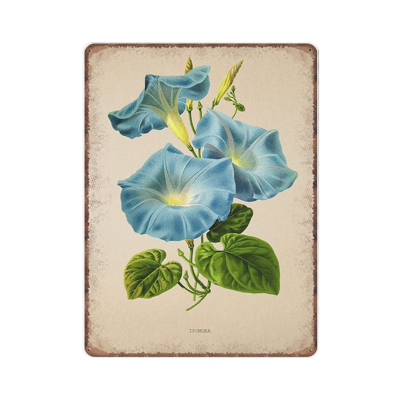 rayprint Vintage Ipomoea Morning Glory Flower Tin Signs, Antique Flower Botanical Green Leaf Funny Metal Sign Plaqu Poster Wall Art Pub Bar Kitchen Garden Bathroom Home Decor, 30x40 cm