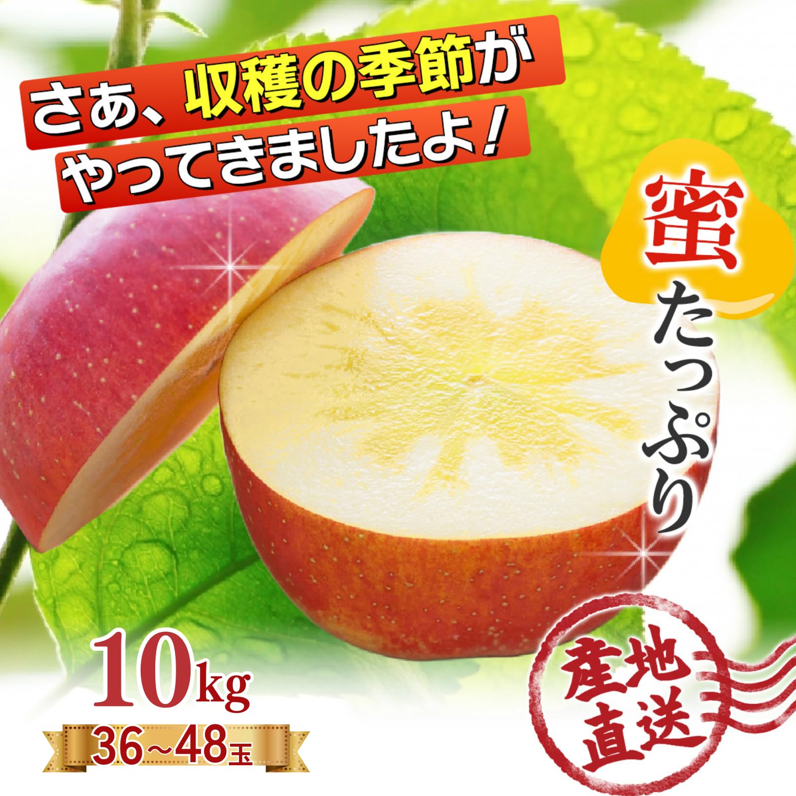 Amazon.co.jp: 青森県産 りんご 宮美ふじ 蜜入りりんご [バランスの
