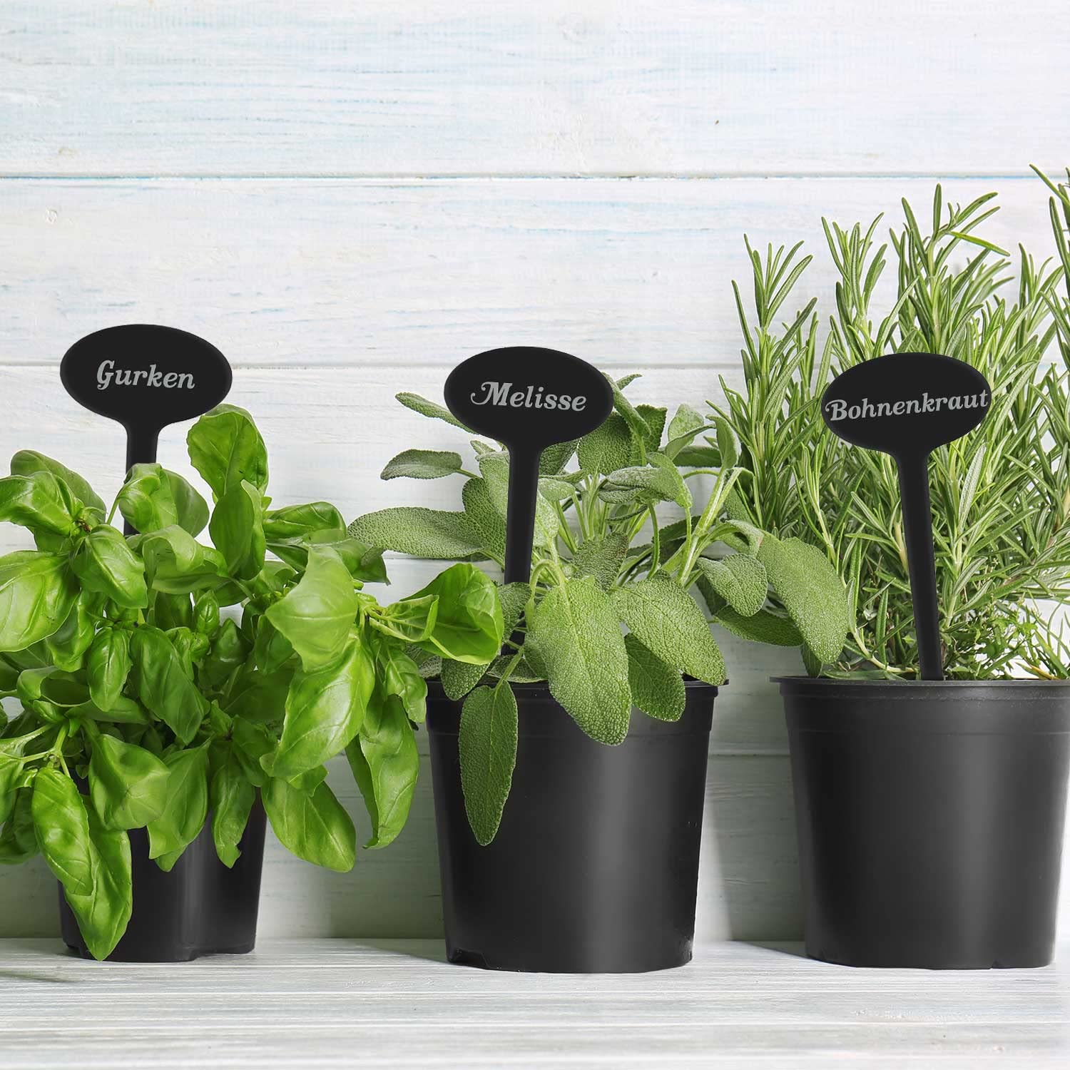 GRAVURZEILE Targhetta per piante con incisione – prezzemolo – Elegante cartello per erbe in acrilico nero per il giardino – spina di erbe adatte per aiuole ed erbe aromatiche – Colore: prezzemolo