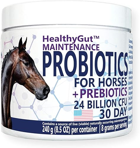 HealthyGut Probióticos para caballos Suplemento dietético, fórmula de mantenimiento del sistema digestivo totalmente natural (30 días)