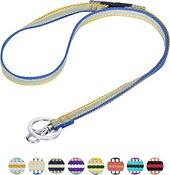 Blueberry Pet 3M Reflective Multi-colored Stripe Ginger and Blue Men Women Fashion Non Breakaway Lanyard Keychain for Keys/ID Card/Badge Holder, 1/2 Wide