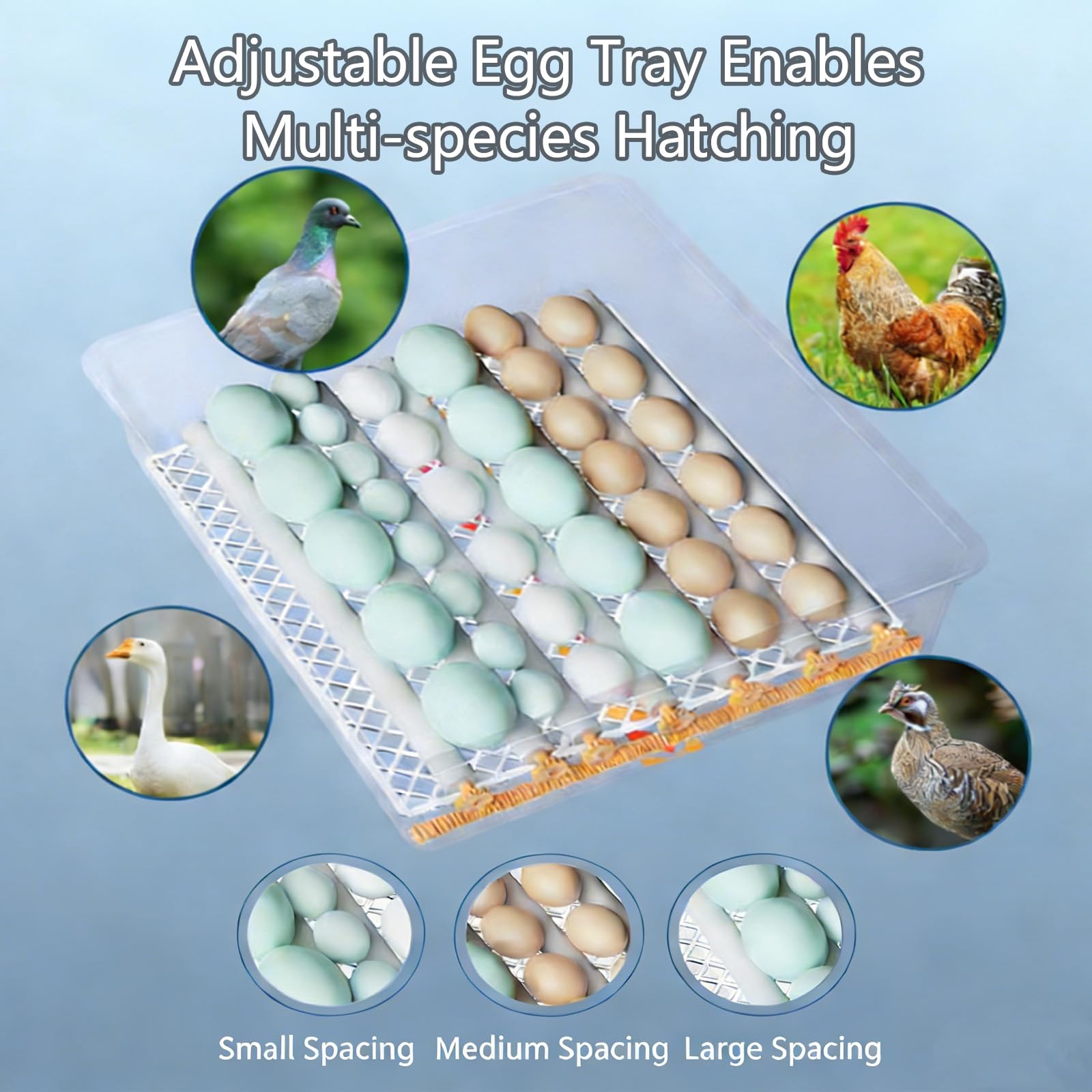 Incubadora De Huevos Con Paletta, Termostato Digitale E Controllo Dell'umidità, Visione Chiara A 360° - Per Far Schiudere Uova Di Pollo, Anatra E Quaglia A Casa, In Fattoria O A Scuola Nine