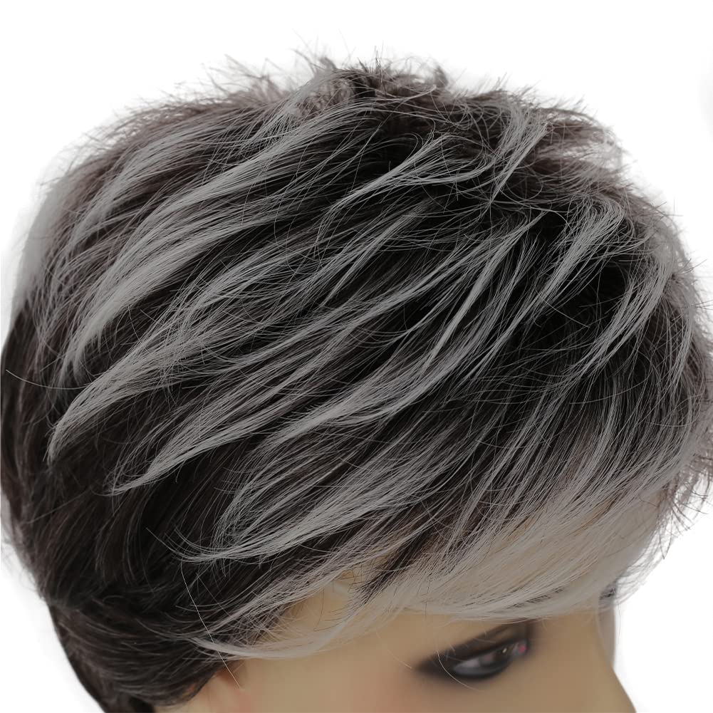 Amazon.com : Swiking Women Short Grey Pixie Cut Wig with 