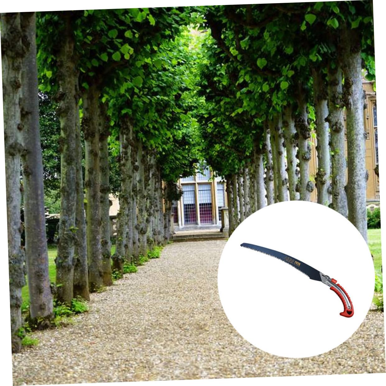 Serrucho para Jardinería de Mango Curvo de Hierro de Poda