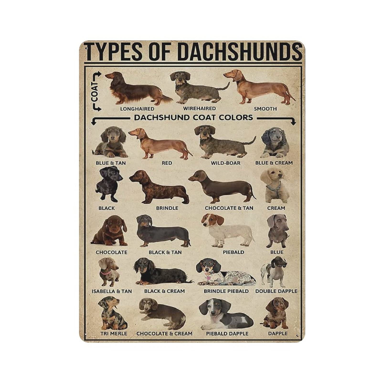 rayprint Dachshund Type Knowledge Tin Sign Metal Plaque Art Hanging Iron Painting Retro Home Kitchen Garden Garage Wall Decor 16"x12"