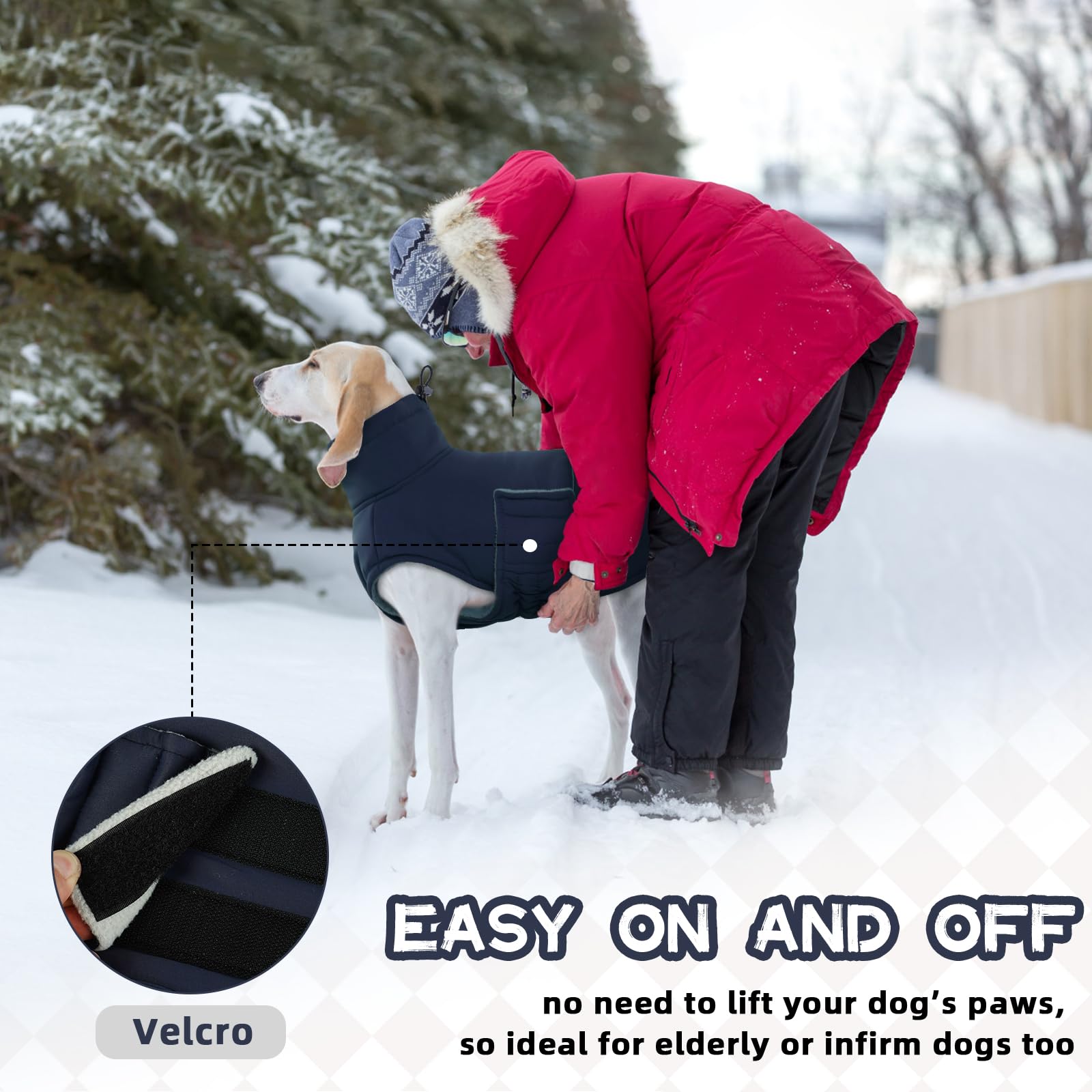 View 4
