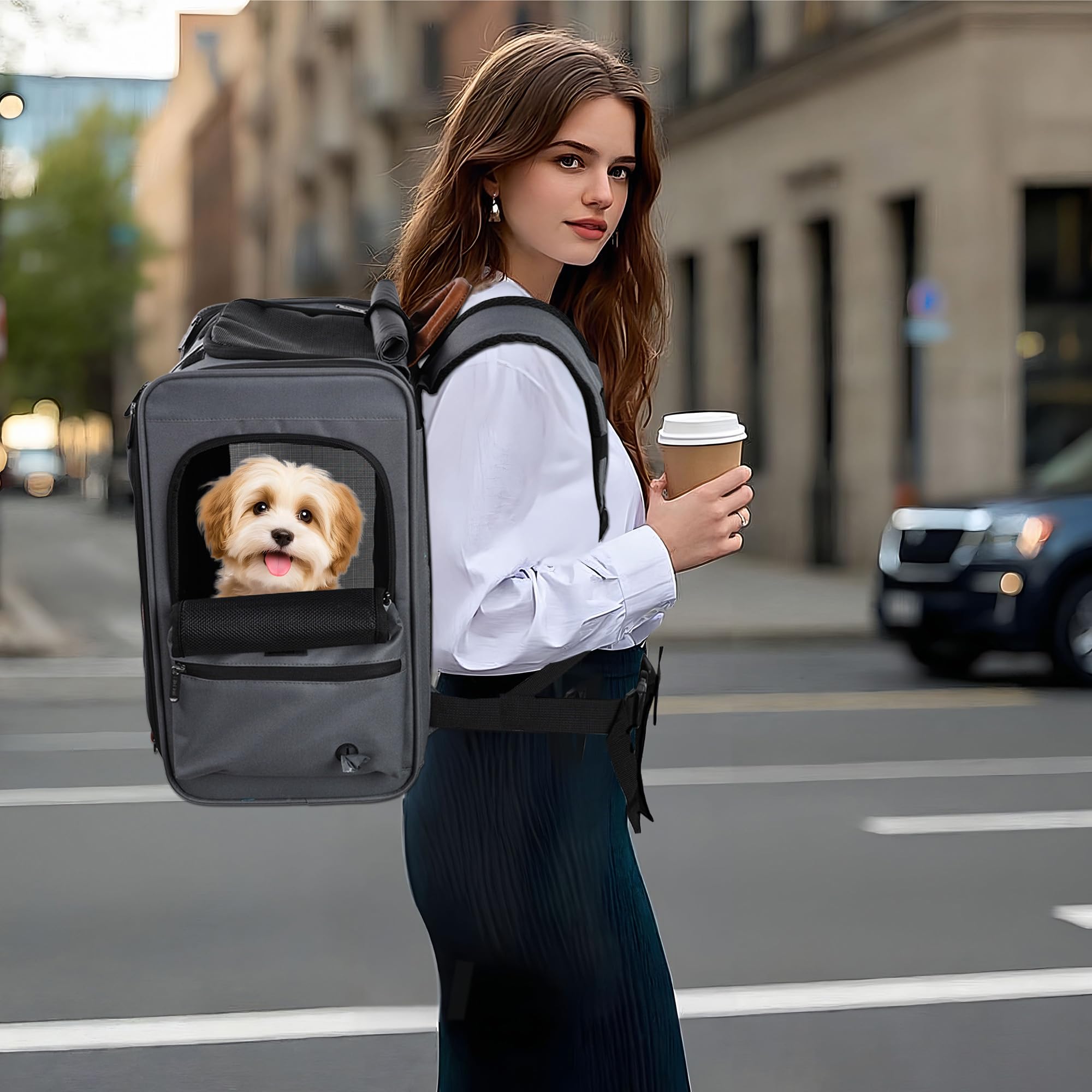 EliteField Deluxe Backpack Pet Carrier (3 Year Warranty, Airline Approved), Travel Soft-Sided Carrier Bag for Dogs, Cats & Small Pets