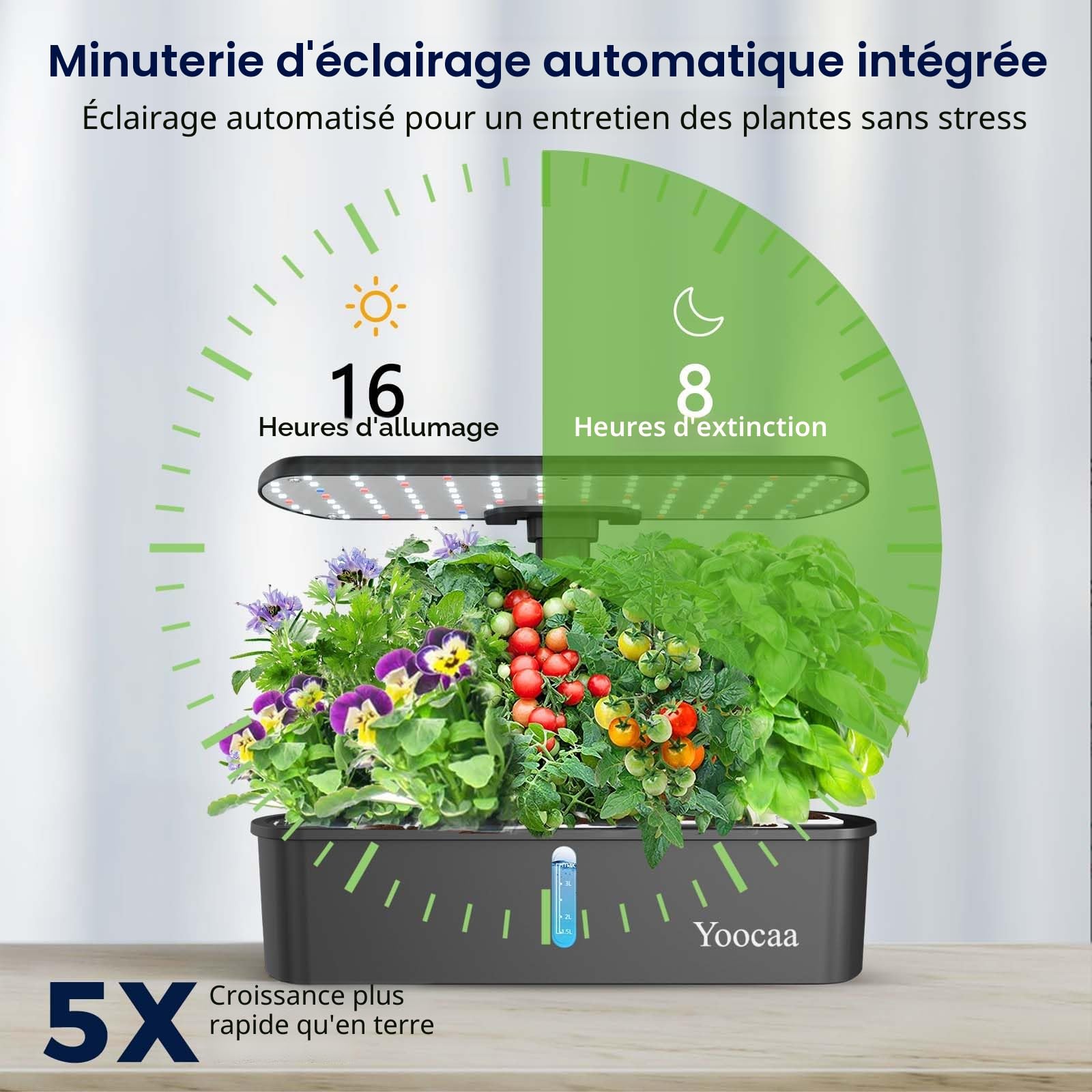 Potager Intérieur pour 12 Plantes, Kits et Systèmes pour Cultures Hydroponiques avec Hauteur Réglable sur 12 Niveaux et Minuteur Intelligent (sans graines)