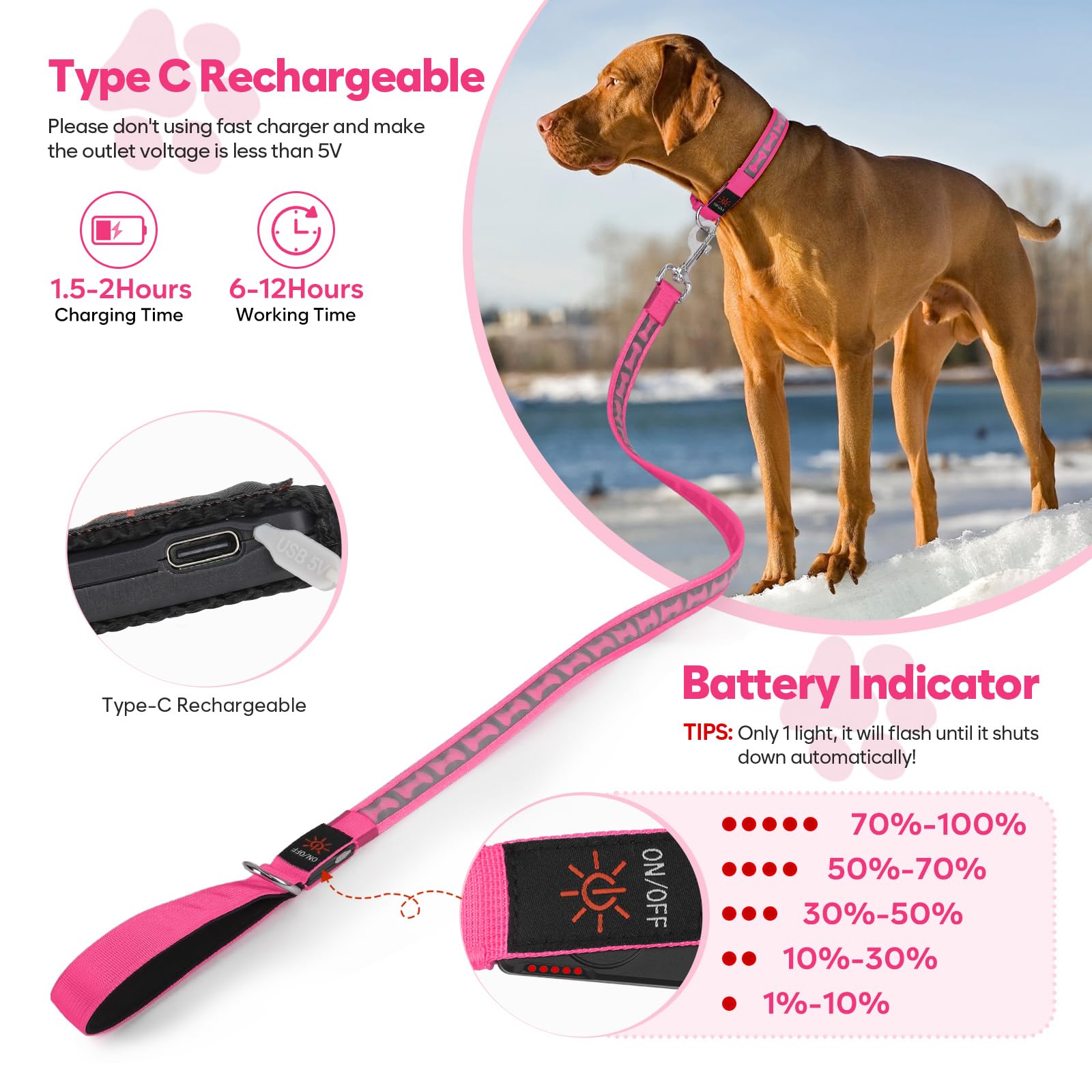 Flashseen Guinzaglio per cani luminoso, 1,2 m, LED con luce di tipo C, ricaricabile, in nylon, luci di sicurezza per cani per passeggiate notturne (rosa)
