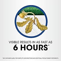 Vista 7 de Roundup Herbicida₄ concentrado para maleza y césped, uso en y alrededor de parterres de flores, pasillos y otras áreas de su jardín, 1 galón.