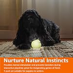 Amazon Basics Jouets pour chiens, boules de caoutchouc 3), 6.35 cm, beige